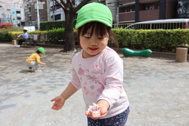 IMG_7997.JPG